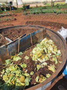 Horta em formato mandala une sustentabilidade e ressocialização na Penitenciária de Três Lagoas