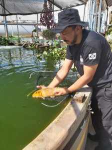 Programa de sustentabilidade consorciado em presídio da Agepen garante indicação ao Prêmio Innovare