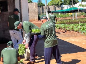 Horta do Estabelecimento Penal de Caarapó fortalece retribuição social e amplia doações a entidades do município