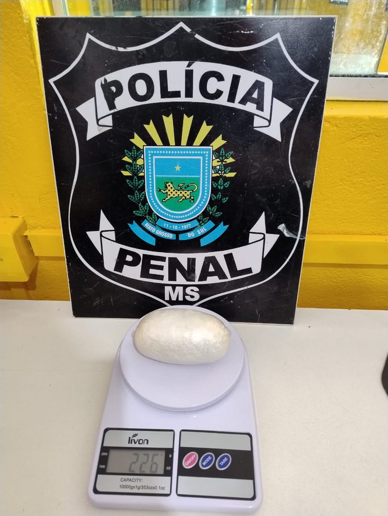 Apreensões registradas no IPCG