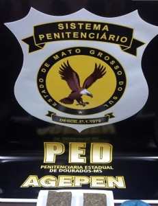 PED